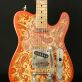 Nick Page Paisley Telecaster Bigsby (2006) Detailphoto 1